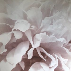 Meet your Posher, Jodi